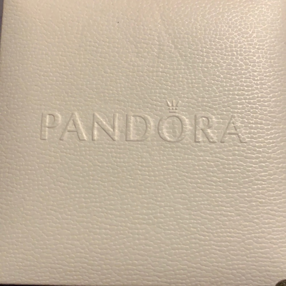 2 Pandora Charm Bracelets
